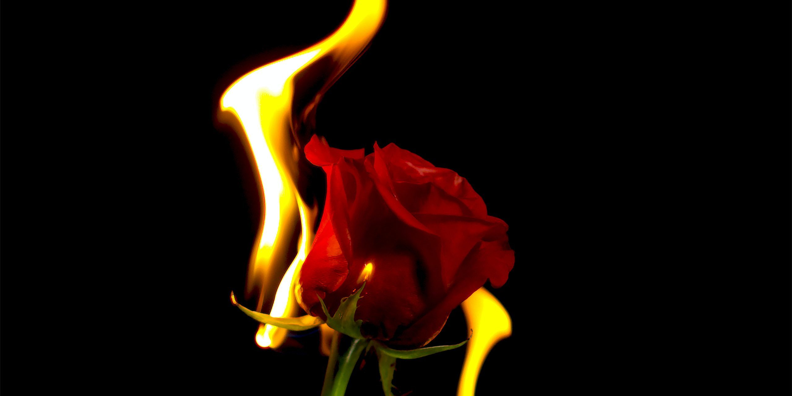 zach-vessels-NxTs_QPtA6M-unsplash