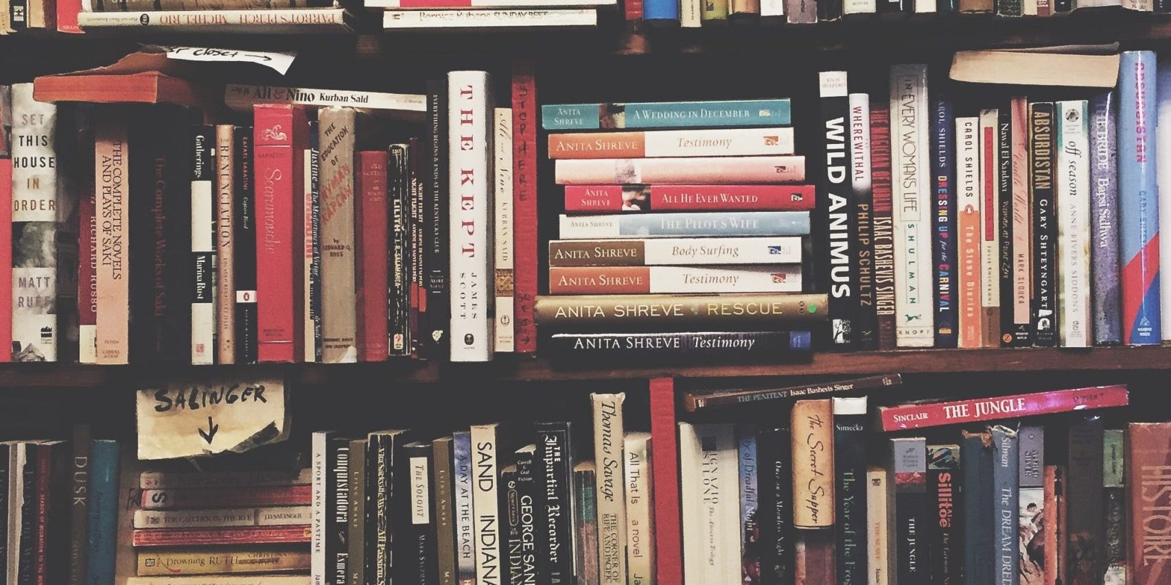 ashim-d-silva-P8gLaJ-PZL0-unsplash